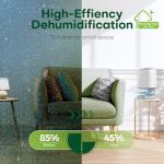 Compact 1000ml Dehumidifier with LED Light