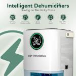 2000ml GW® Home Dehumidifier with Humidity Indicator