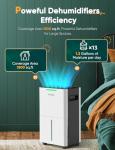 Ultra-Quiet Compressor Dehumidifier for Home Drying
