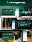 Ultra-Quiet Compressor Dehumidifier for Home Drying