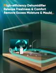 Ultra-Quiet Compressor Dehumidifier for Home Drying