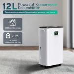 12L Daily Dehumidifier with Digital Display & Timer