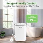12L/Day Powerful Dehumidifier with Digital Display