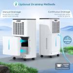 12L Daily Dehumidifier with Digital Display & Timer