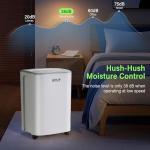 12L/Day Powerful Dehumidifier with Digital Display