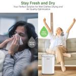 12L/Day Powerful Dehumidifier with Digital Display