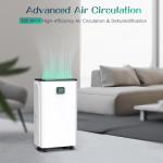 12L Daily Dehumidifier with Digital Display & Timer