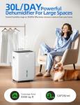 30L Daily Dehumidifier with Digital Control