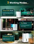 12L/day Ultra Quiet Dehumidifier with Timer