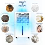 NETTA 20L Low Energy Dehumidifier with Digital Control