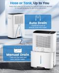 20L Dehumidifier for Home and Large Spaces
