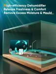 12L/day Ultra Quiet Dehumidifier with Timer