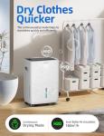 30L Daily Dehumidifier with Digital Control