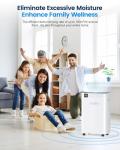 20L Dehumidifier for Home and Large Spaces