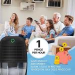 Compact 600ml Mini Dehumidifier for Home Use