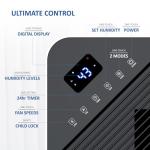 NETTA 20L Low Energy Dehumidifier with Digital Control