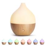 100ml Essential Oil Diffuser with Warm Light