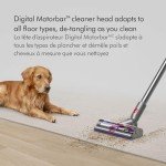 Dyson V15 Detect Cordless Robot Vacuum - Yellow/Nickel