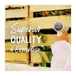 Boiron Arnica Montana Homeopathic Muscle Pain Relief