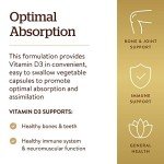 Solgar Vitamin D3 5000 IU Veggie Capsules 240 ct
