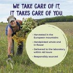 Boiron Arnica 30C Homeopathic Remedy 1 Count