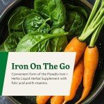 Floradix Iron Tablets – Natural Energy Support Supplement