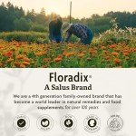 Floradix Iron Tablets – Natural Energy Support Supplement