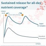 Super B Complex – High Absorption Vegan Tablets