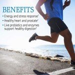 Garden of Life Men's Raw One Multivitamin, 75 Count