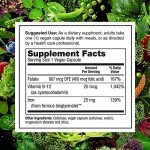 PlantFusion Vegan Iron with Folate & B12, 90 Caps