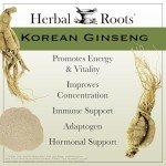Organic Korean Ginseng Powder - Energy & Performance