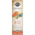 Garden of Life Organic B12 Vitamin Liquid, Raspberry