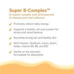 Pure Synergy Super B-Complex Vegan Energy Support