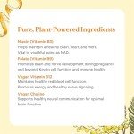 Pure Synergy Super B-Complex Vegan Energy Support