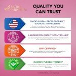 Vitamin B Complex Supplement for Energy and Support