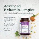 New Chapter Fermented B Complex with Vitamin B12