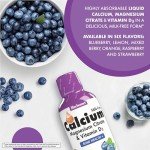Bluebonnet Liquid Calcium & Magnesium, Blueberry Flavor