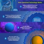 Liposomal Methylated B-Complex for Heart Health