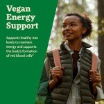 Floradix Floravital Iron & B Vitamins Liquid