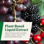 Floradix Floravital Iron & B Vitamins Liquid