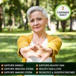 MoxyVites Vegan B Complex for Energy & Immunity