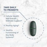 Metagenics PhytoMulti Iron-Free Multivitamin - 120 Tablets