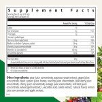 Floradix Iron & Herbs Liquid Supplement for Energy