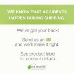 EZ Melts Sugar-Free Iron Supplement, 3-Month Supply