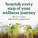 MegaFood Balanced B Complex - Energy Support Tablets