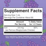 MaryRuth Organics Iron Supplement for Toddlers | Liquid Iron Supplement for Children Ages 1-3 | Iron Supplement for Iron Deficiency | Ferrochel | Sugar Free | Vegan | Non-GMO | Gluten Free | 2 Fl Oz