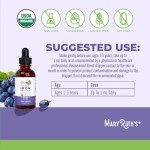 MaryRuth Organics Iron Supplement for Toddlers | Liquid Iron Supplement for Children Ages 1-3 | Iron Supplement for Iron Deficiency | Ferrochel | Sugar Free | Vegan | Non-GMO | Gluten Free | 2 Fl Oz
