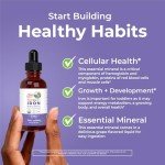 MaryRuth Organics Iron Supplement for Toddlers | Liquid Iron Supplement for Children Ages 1-3 | Iron Supplement for Iron Deficiency | Ferrochel | Sugar Free | Vegan | Non-GMO | Gluten Free | 2 Fl Oz