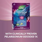 Nature's Way Umcka ColdCare Soothing Hot Drink - Homeopathic – With Pelargonium sidoides 1X- Helps Shorten Duration of Colds - Soothing Lemon Flavored - Suitable for Ages 6+ - 10 Packets