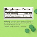 Fergon High Potency Iron Highly Soluble & Easily Digested, 27 mg Iron, 100 Tablets